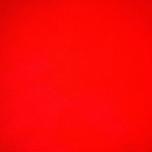 Meet your Posher, Tia